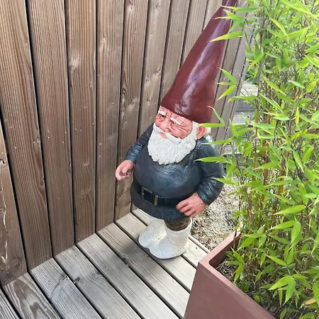 Le Ronfleur Du Herou ホッファライズ